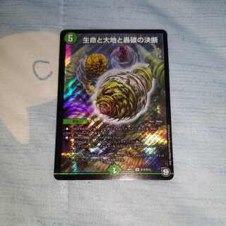 Life Life, Earth and Roaring Decision SR S12/S12