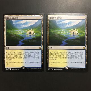 溢れかえる岸辺　2枚セット