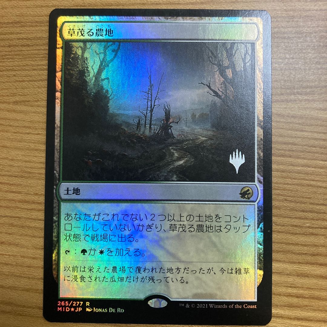 Overgrown Farmland foil