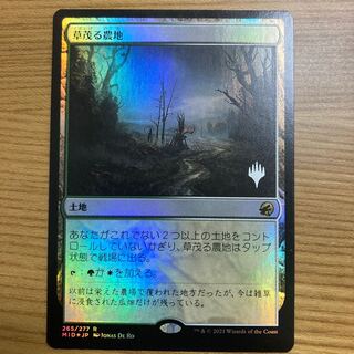 Overgrown Farmland foil