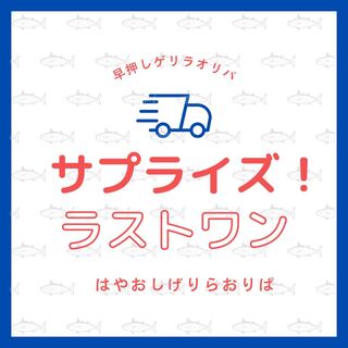 【即購入可】まぐろしっぷサプライズ！ラストワン！！