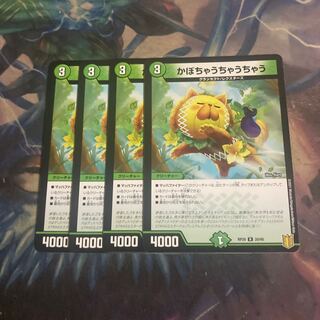 4 pieces of kabocha ucha ucha ucha