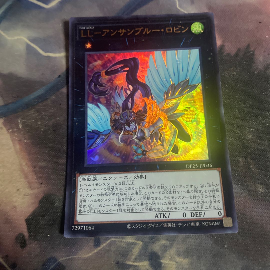 LL-Anne Snubbull Robin