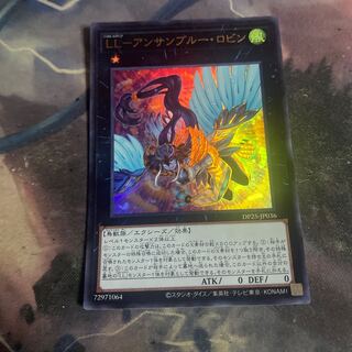 LL-アンサンブルー・ロビン