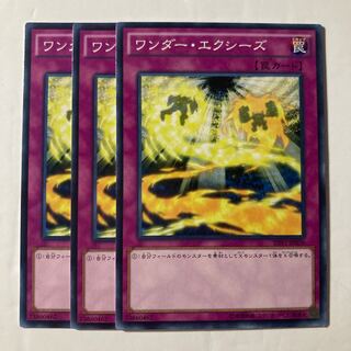 ワンダー・エクシーズ $382