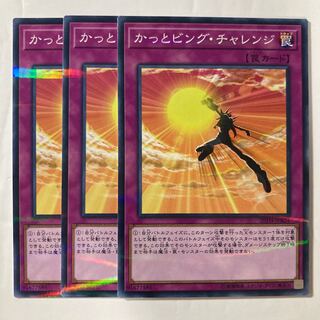 7065 かっとビング・チャレンジ パラレル ノーマル JPB24