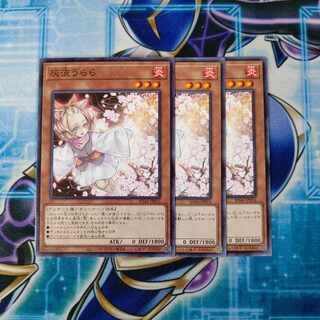 Ash Blossom & Joyous Spring Normal JP014 Set of 3