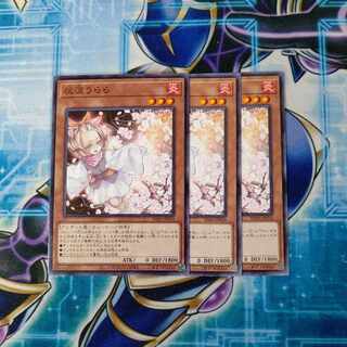 Ash Blossom & Joyous Spring Normal JP014 Set of 3