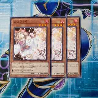 Ash Blossom & Joyous Spring Normal JP014 Set of 3