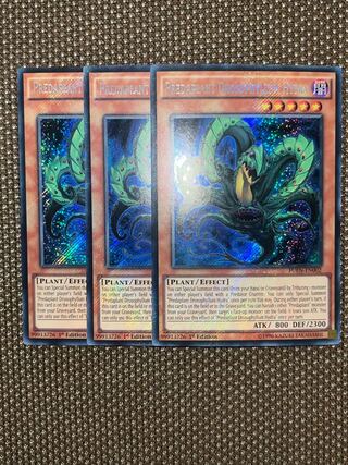 遊戯王 捕食植物ドロソフィルム・ヒドラ　EU版(英語) シク　1st 3枚