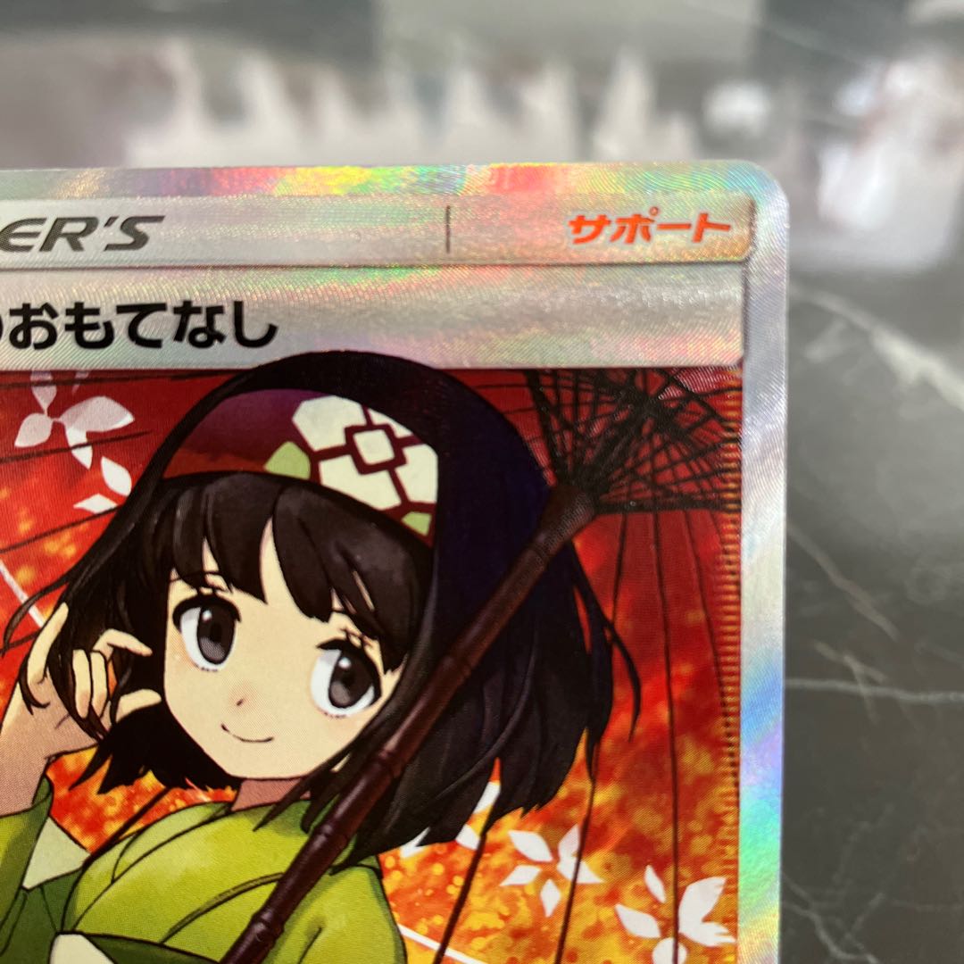 Pocketka Erika's Hospitality SR 190/173