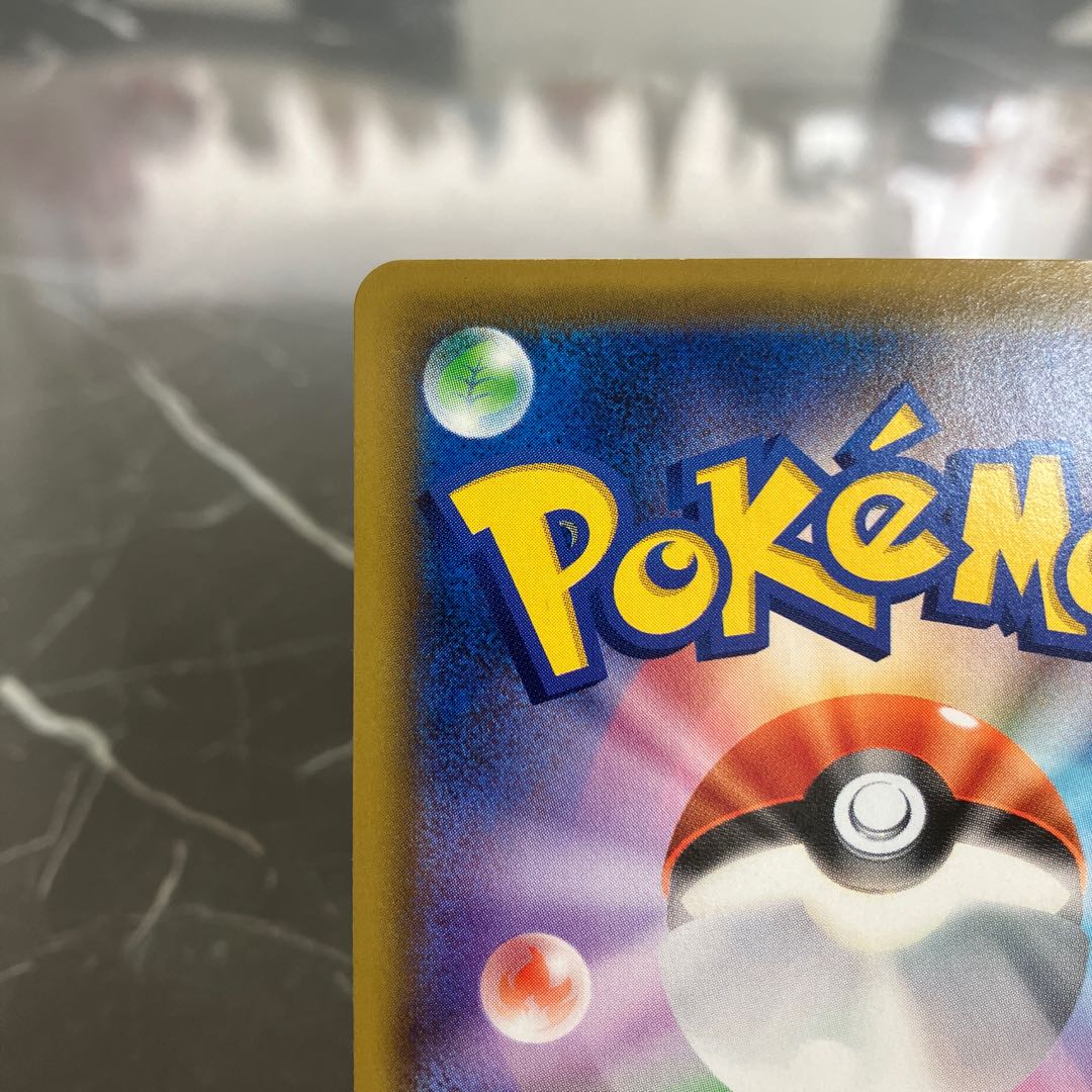 Pocketka Erika's Hospitality SR 190/173