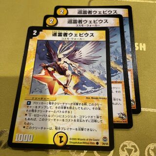 Pilgrim Webius C 13/13