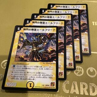 神門の精霊エールフリート 1/42