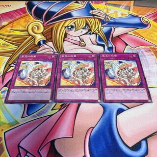 宝玉の双璧 ノーマル JP035