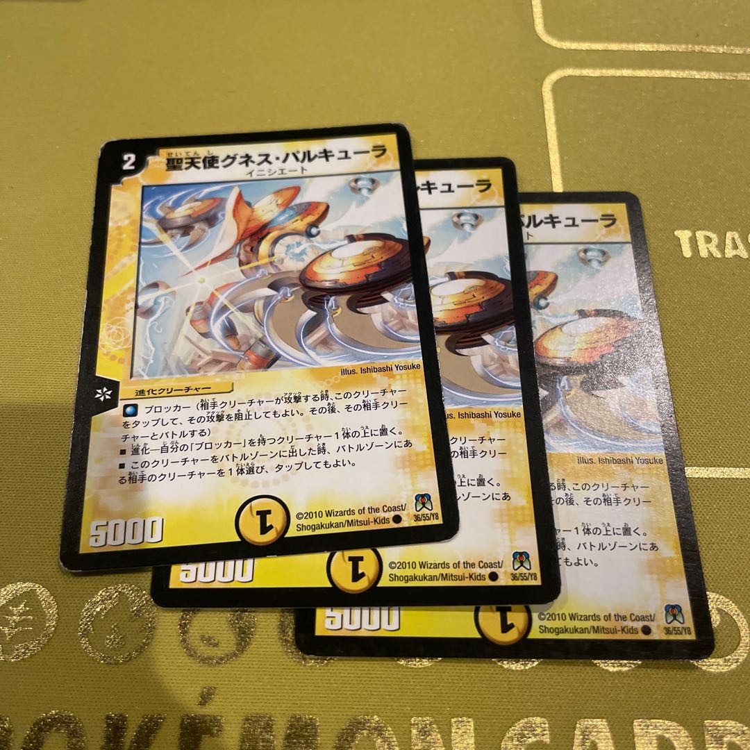 St. Angel Gunes Parcula C 36/55/Y8