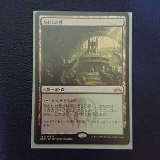 草むした墓 1枚