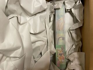 Pokémon Cards/Half Playmat Pikachu&Morpeko Supply