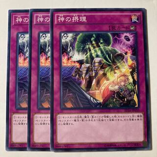 7087 Ultimate Providence Normal JP050