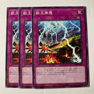 7093 獣王無塵 ノーマル JP078