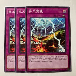 7094 獣王無塵 ノーマル JP078