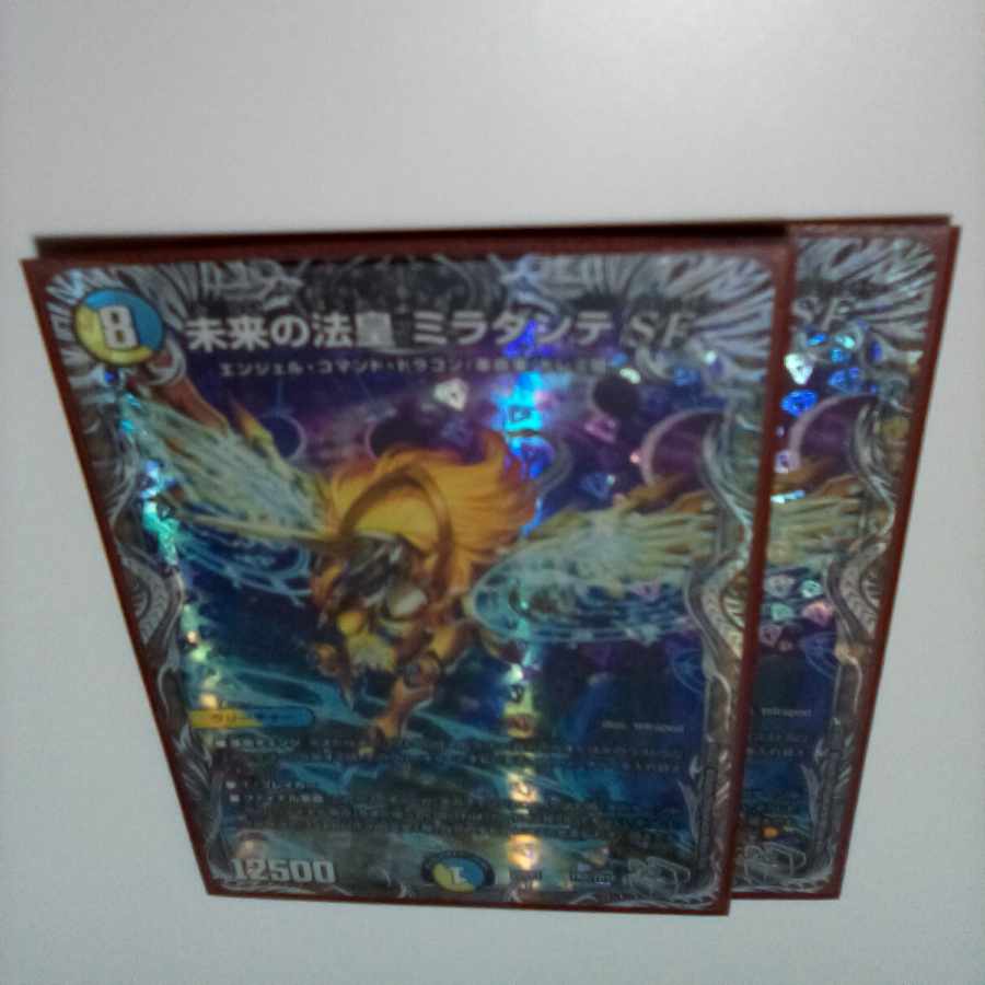 Future Pope Miradante SF (Silver Treasure) TR2/TR10 2 pieces