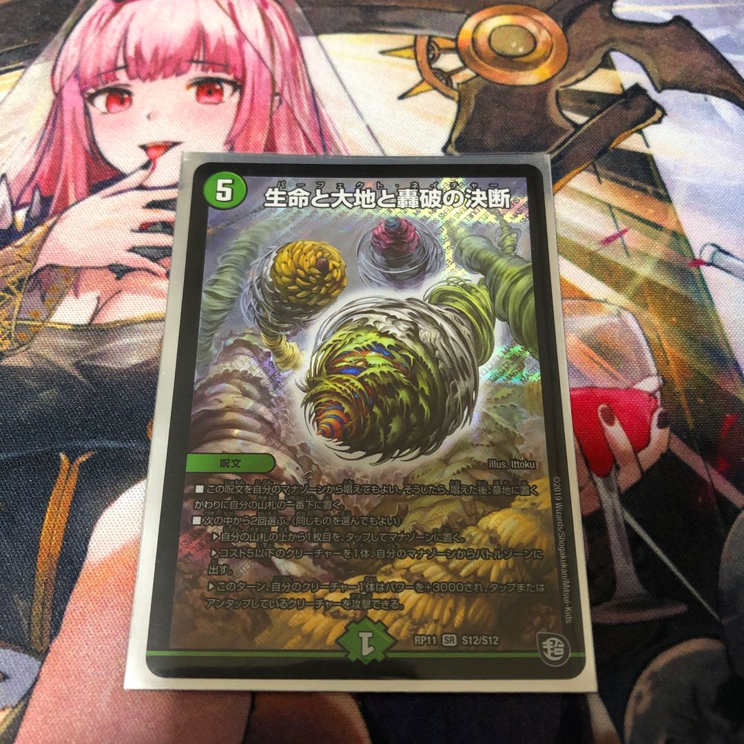 Life Life, Earth and Roaring Decision SR S12/S12