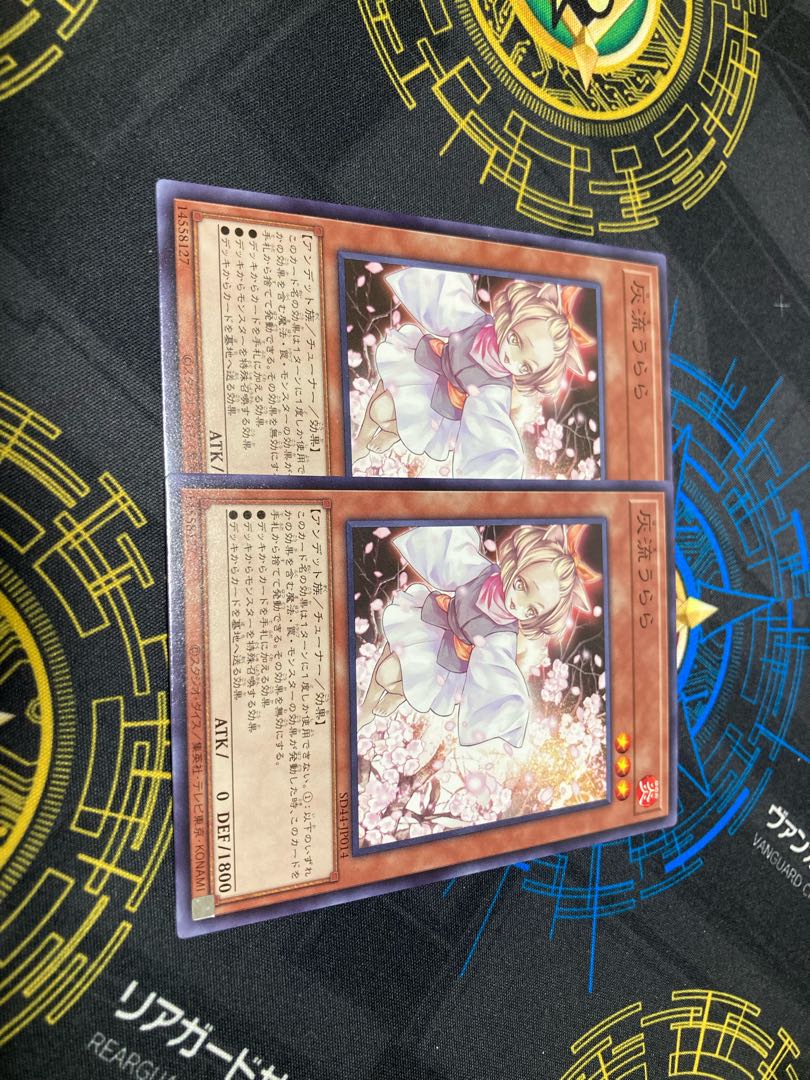 Ash Blossom & Joyous Spring Normal, set of 2, for play