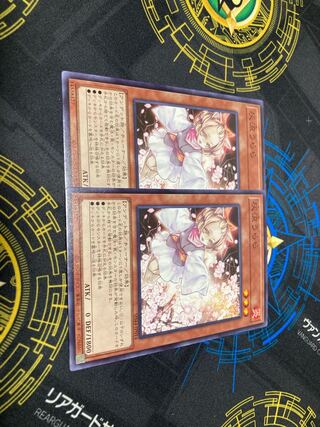 Ash Blossom & Joyous Spring Normal, set of 2, for play