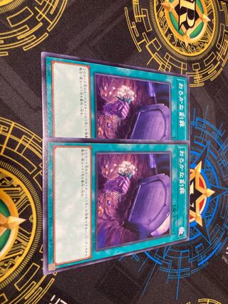 Foolish Burial Goods Normal JP030 Set of 2 for play