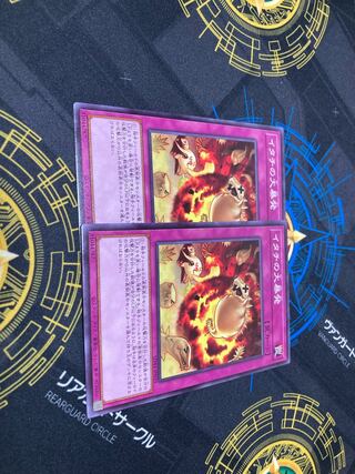 Ferret Flames Normal JP039 Set of 2 For Play
