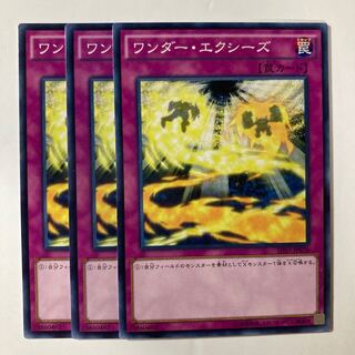 ワンダー・エクシーズ ノーマル JP076 $469