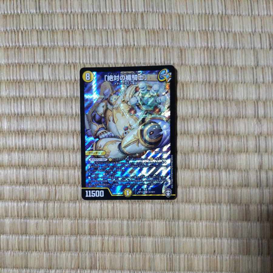 Knight of the Shield of the Absolute."