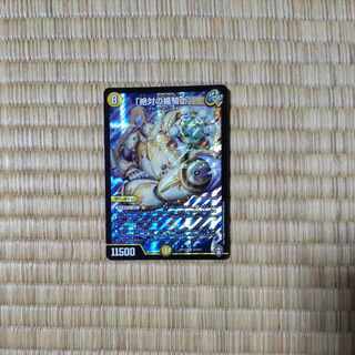 Knight of the Shield of the Absolute."