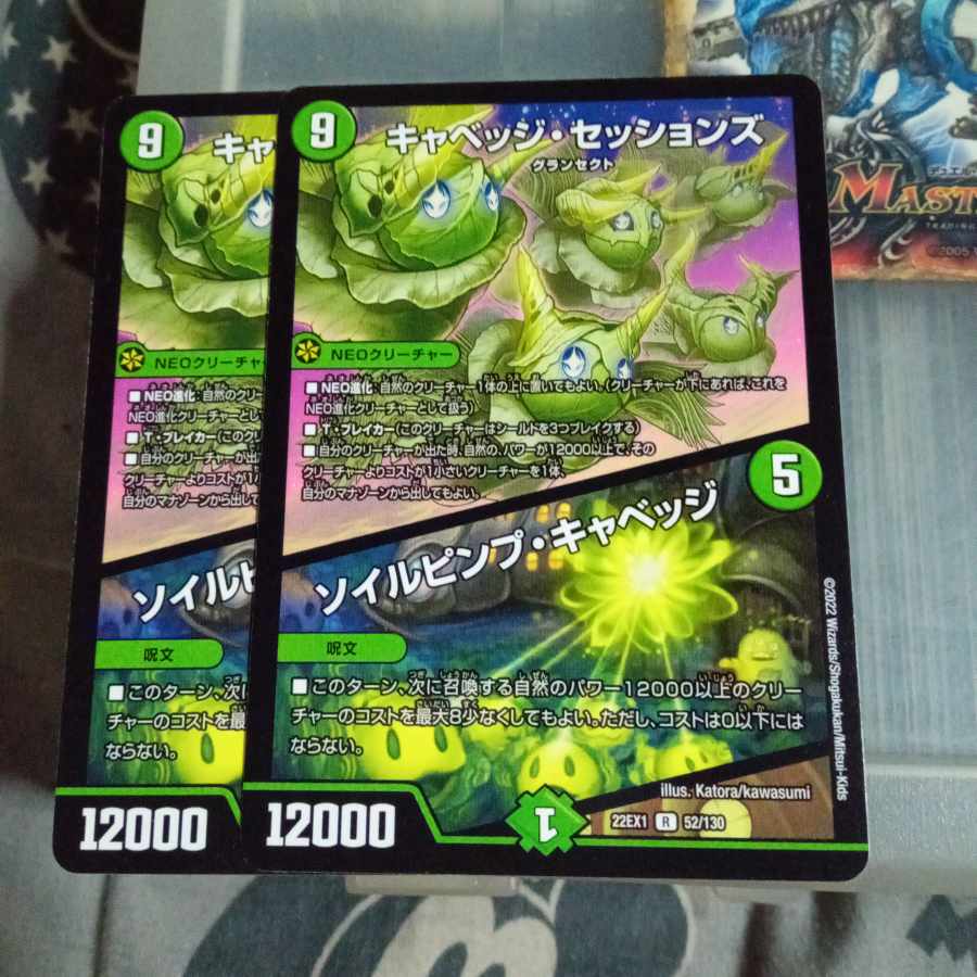 セット割引  キャベッジ・セッションズ｜ソイルピンプ・キャベッジ R 52/130  2枚セット