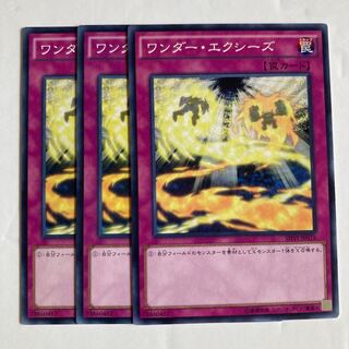 ワンダー・エクシーズ $473