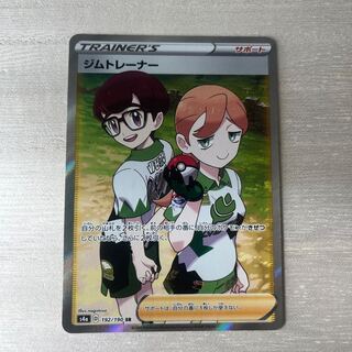 Gym Trainer SR 192/190