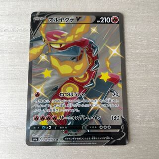 CentiskorchV SSR 309/190