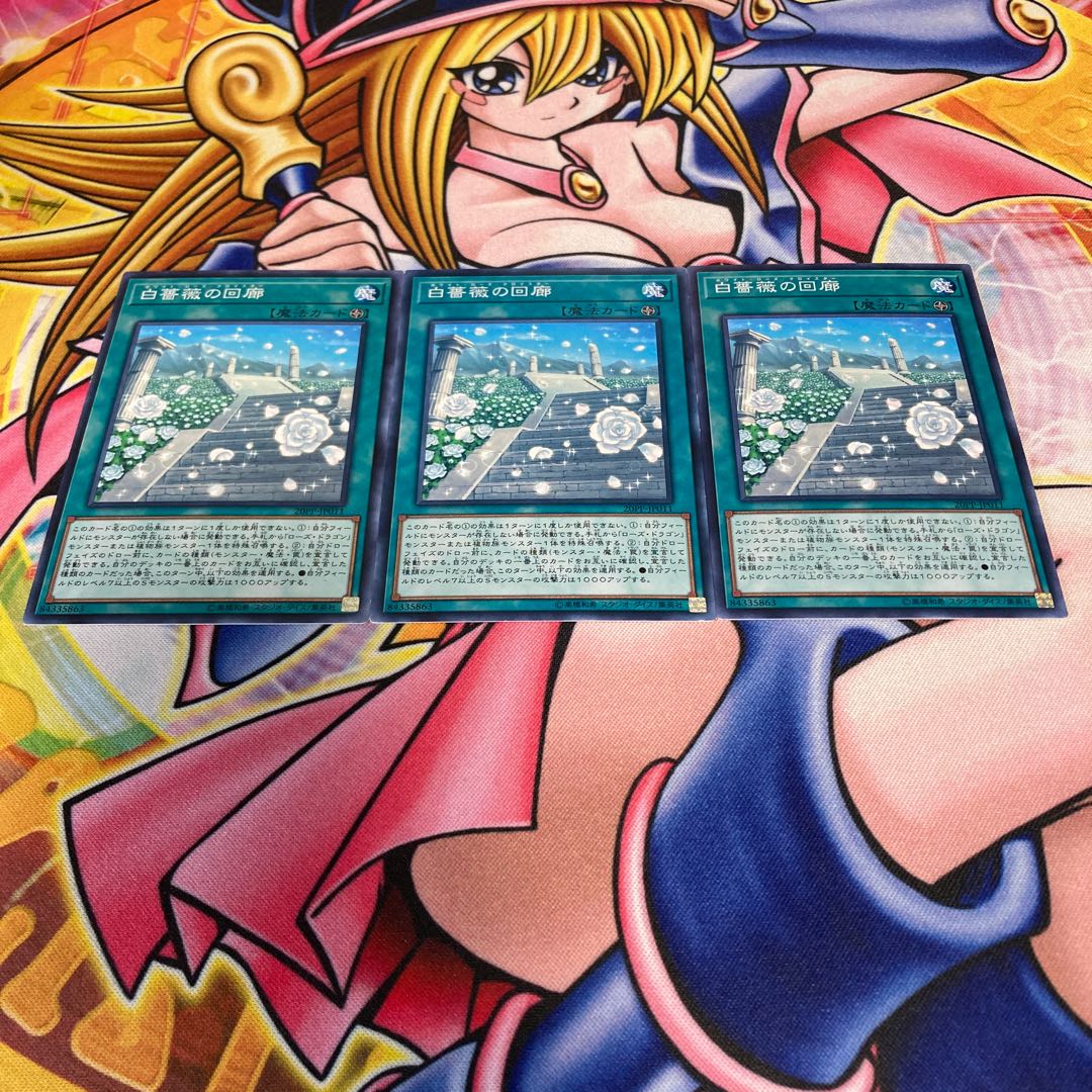 White Rose Cloister Normal JP011