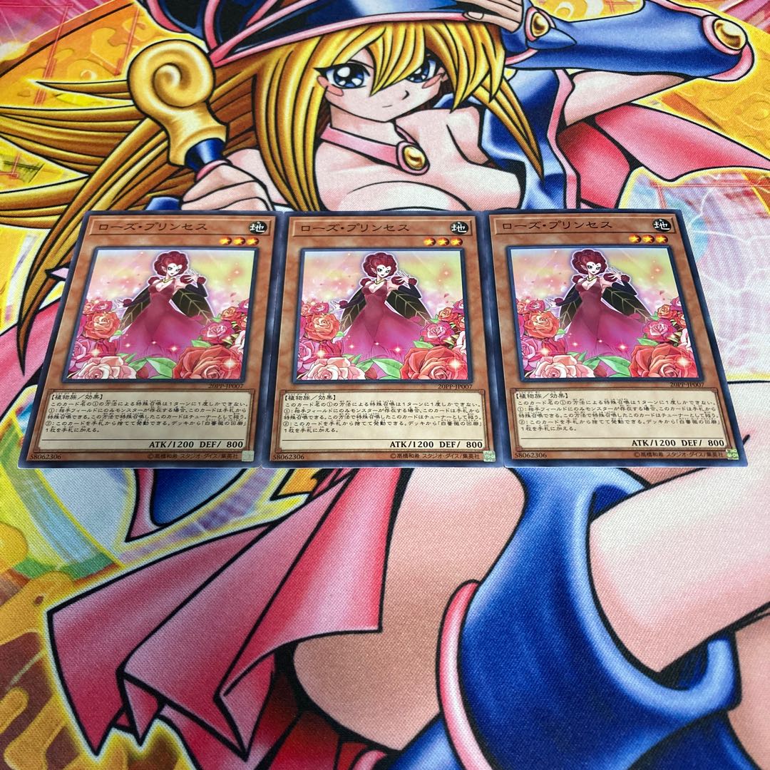 Rose Princess Normal JP007