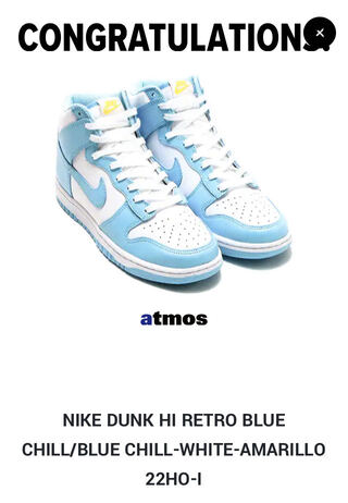 ナイキ ダンク ハイ "ブルーチル" ブルーチル/ホワイト DD1399-401 26.5cm