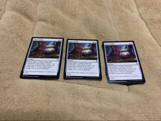 ELD 英語 ガラスの棺 3枚セット