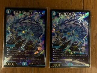 水上第九院 シャコガイル