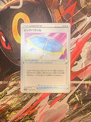 ビッグパラソル U 066/070 1枚