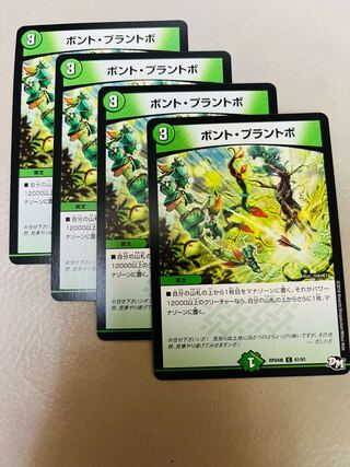 Bont Plantivo C 61/61