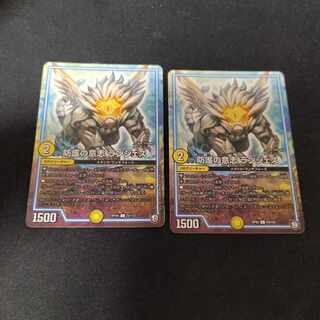 防護の意志 ランジェス C 2枚 2枚