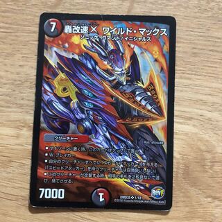 Todoroki Kaisoku X Wild Max SR 1/12