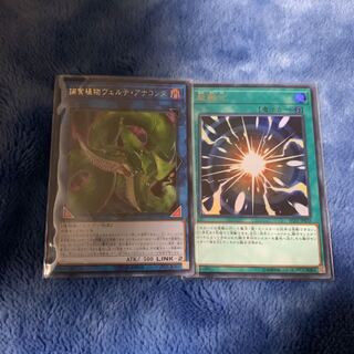 捕食植物ヴェルテ・アナコンダ