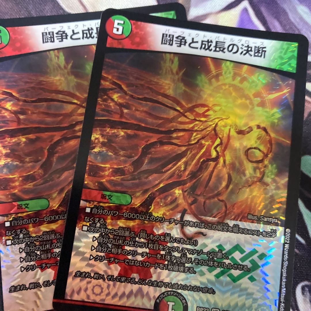 Fighting Conflict and Growth Decision VR 8/76