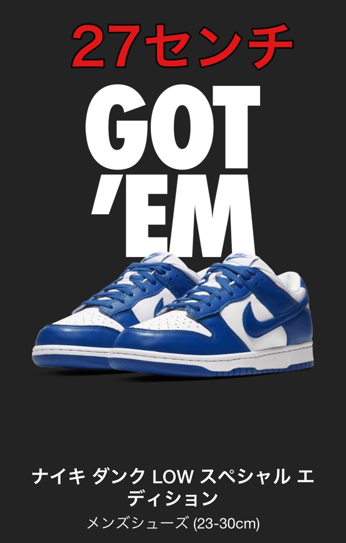 Dunk Kentucky NIKE 27.0 27cm